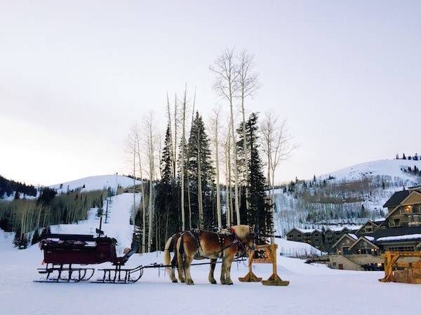 Sled pulled by horses.
