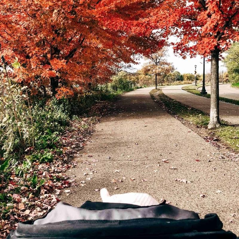 A sidewalk that passes through trees with leaves that have changed colors.